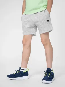 Boys' 4F Shorts