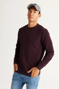 AC&Co / Altınyıldız Classics Men's Burgundy-Navy Blue Recycle Standard Fit Regular Fit Crew Neck Patterned Knitwear Sweater