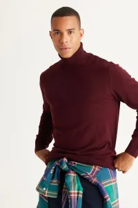 AC&Co / Altınyıldız Classics Men's Claret Red Standard Fit Anti-Pilling Full Turtleneck Knitwear Sweater