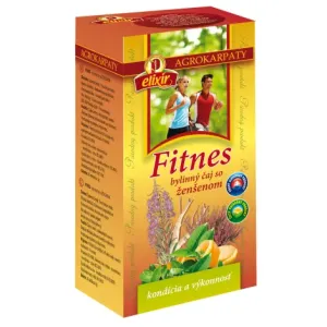 Agrokarpaty Fitnes čaj so ženšenom čistý prírodný produkt 20 x 2 g