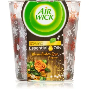 Air Wick Essential Oil Infusion Jantárová ruža sviečka 105g