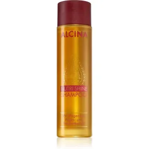 ALCINA Nutri Shine 250 ml šampón pre ženy na poškodené vlasy; na šedivé vlasy