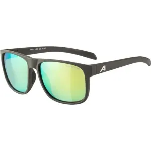 Slnečné okuliare Alpina Sports