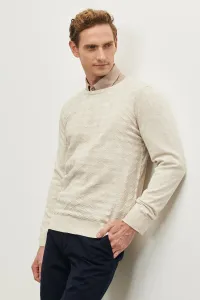 ALTINYILDIZ CLASSICS Men's Beige Standard Fit Crew Neck Plain Knitwear Sweater
