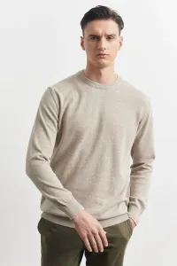 ALTINYILDIZ CLASSICS Men's Beige Standard Fit Regular Fit Crew Neck Cotton Knitwear Sweater #8840699