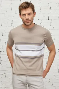 ALTINYILDIZ CLASSICS Men's Mink-ecru Standard Fit Regular Cut Crew Neck 100% Cotton Short Sleeves Striped Knitwear T-Shirt