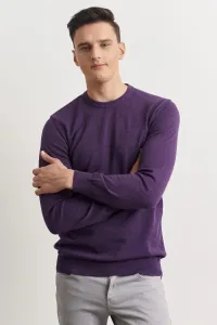 ALTINYILDIZ CLASSICS Men's Purple Standard Fit Regular Fit Crew Neck Cotton Knitwear Sweater #8842489