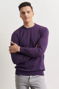 ALTINYILDIZ CLASSICS Men's Purple Standard Fit Regular Fit Crew Neck Cotton Knitwear Sweater #8842491