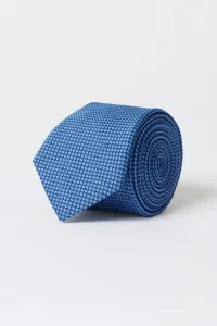 ALTINYILDIZ CLASSICS Men's Blue Patterned Blue Classic Tie