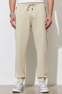 ALTINYILDIZ CLASSICS Men's Beige Standard Fit Regular Cut Sweatpants #8583787