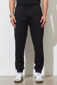 ALTINYILDIZ CLASSICS Men's Black Standard Fit Regular Cut Sweatpants