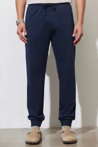 ALTINYILDIZ CLASSICS Men's Navy Blue Standard Fit Regular Fit Sweatpants