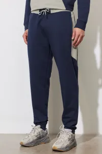 ALTINYILDIZ CLASSICS Men's Navy Blue Standard Fit Regular Cut Sweatpants