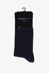ALTINYILDIZ CLASSICS Men's Navy Blue Bamboo Single Socks #9206680