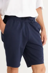 ALTINYILDIZ CLASSICS Men's Navy Blue Standard Fit Normal Cut Cotton Shorts with Pocket