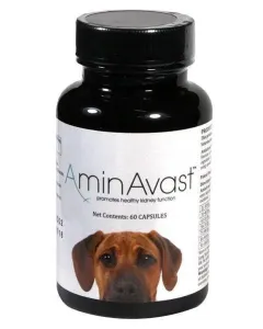 AminAvast 1000mg na podporu správnej funkcie obličiek pre psy 60cps