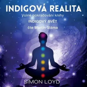 Indigová realita - Simon Loyd (mp3 audiokniha)