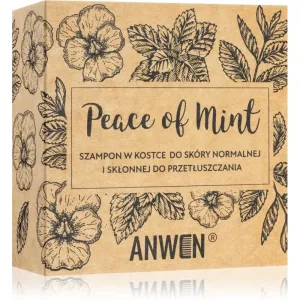 Anwen Peace of Mint tuhý šampón in alu can 75 g #910981