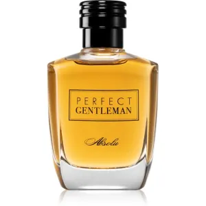 Art & Parfum Perfect Gentleman  Absolu parfumovaná voda pre mužov 100 ml
