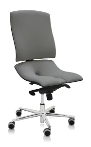 ASANA Seating Ergonomická kancelárska stolička Asana Steel Standard Farba čalúnenia: Látka Atlantic Sivá 60142, Opierky rúk: bez opierok