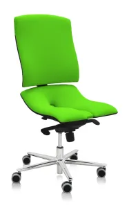 ASANA Seating Ergonomická kancelárska stolička Asana Steel Standard Farba čalúnenia: Látka Atlantic Zelená 68099, Opierky rúk: bez opierok