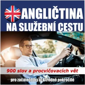 Angličtina na služební cesty - Tomáš Dvořáček (mp3 audiokniha)
