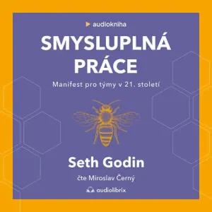 Smysluplná práce - Seth Godin (mp3 audiokniha)
