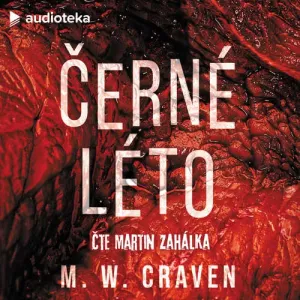 Černé léto - M. W. Craven (mp3 audiokniha)
