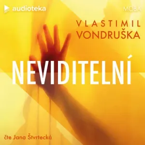 Neviditelní - Vlastimil Vondruška (mp3 audiokniha)