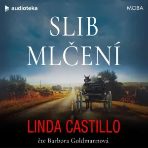 Slib mlčení - Linda Castillo (mp3 audiokniha)