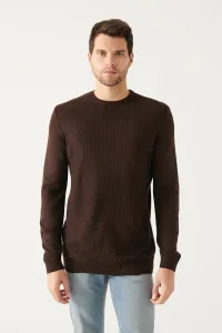 Avva Men's Brown Crew Neck Front Textured Standard Fit Normal Cut Knitwear Sweater #9209074