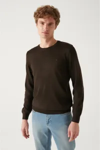 Avva Men's Brown Crew Neck Wool Blended Regular Fit Knitwear Sweater