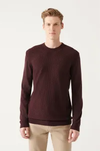 Avva Men's Burgundy Crew Neck Front Textured Standard Fit Normal Cut Knitwear Sweater #9162691