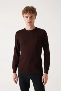 Avva Men's Claret Red Crew Neck Wool Blended Regular Fit Knitwear Sweater