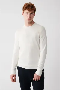 Avva Men's Ecru Knitwear Sweater High Crew Neck Viscose Regular Fit