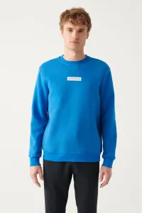 Avva Men's Saxe Blue Crew Neck Printed Regular Fit Sweatshirt