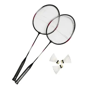 Badmintonová súprava MASTER Fly 2
