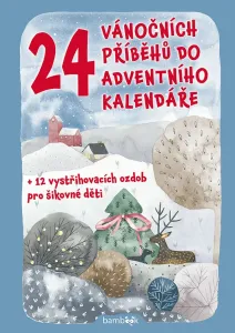 24 vánočních příběhů do adventního kalendáře, Šilha Petr