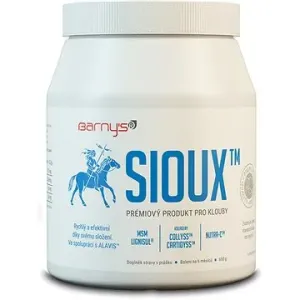 Barny`s MSM – SIOUX 600 g