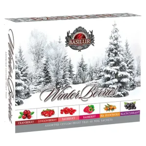 Basilur Winter Berries Assorted obal 120 g gastro vrecká 60 ks