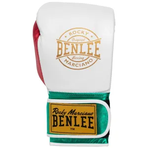 Lonsdale Leather boxing gloves #8517485