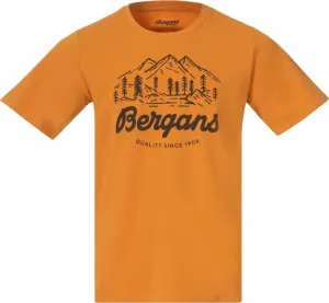 Bergans Classic V2 Tee Men Golden Field M Tričko