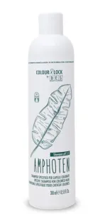 BES Colour Lock Amphoten Shampoo New 300ml - Speciální šampon pro barvené vlasy #6417143