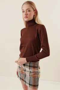 Bigdart 15747 Turtleneck Knitwear Sweater - Brown