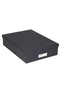 Bigso Box of Sweden - Úložná krabica Oskar #199440