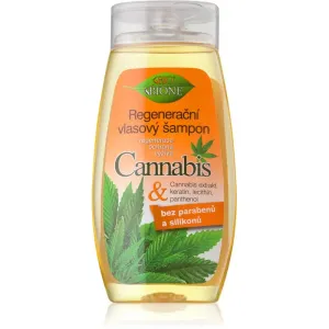 BIONE COSMETICS Bio Cannabis Regeneračný výživný šampón 260 ml