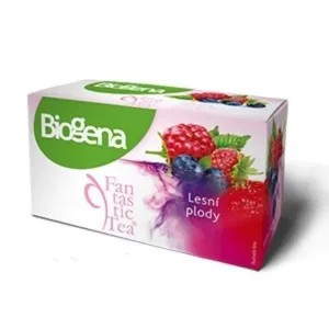Biogena Fantastic Tea Lesné plody ovocný čaj 20x2,2 g