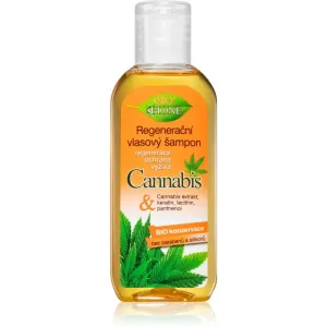 Bione Cosmetics Regeneračný šampón na vlasy Cannabis 80 ml