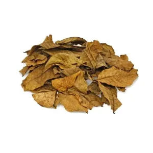 Orech kráľovský (vlašský orech) - list narezaný - Juglans regia - Folium juglandis 250 g
