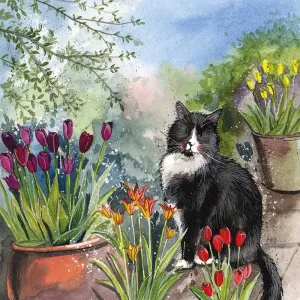 Prianie s mačkou a tulipánmi